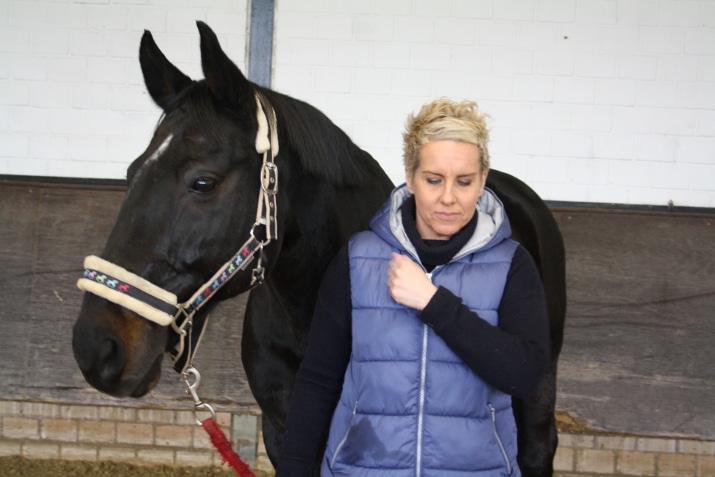 Übungen mit Pferd im Einzelcoaching